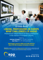 Wednesday for Future: Hearing im Europaparlament zur Zukunft der Freien Berufe in Europa